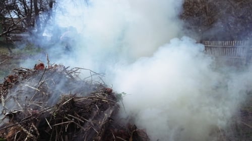 Brennender und rauchender Haufen von Ästen und Blättern