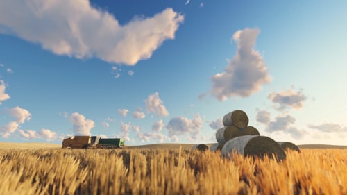 Wheat Field and Harvester