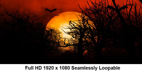 Spooky Halloween Night with Flying Bats and Full Moon