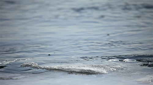 Ice Floating in Cold Water on Winter Day