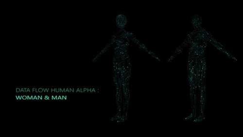 Data Flow Human Alpha