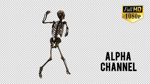 Skeleton Dance 6