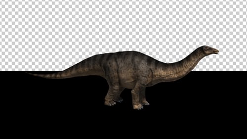 Realistic Walking Apatosaurus Dinosaur Loop Animation