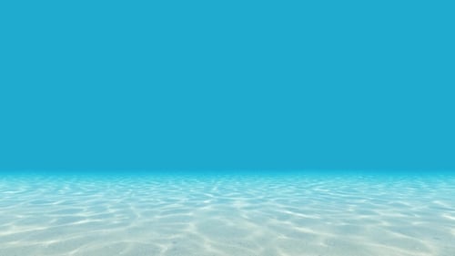 Ocean Floor