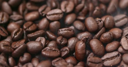 Roasted coffee bean