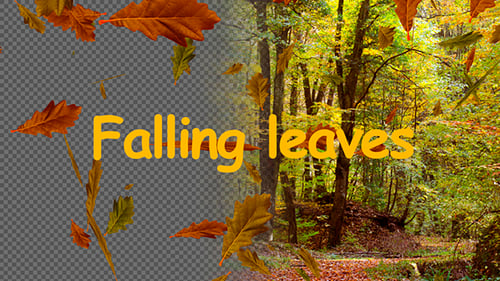 Animated Falling Autumn Leaves Natural Overlay