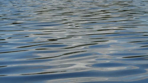 of the Calm Water of a Lake