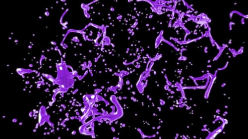 Purple Liquid Drop Explosion