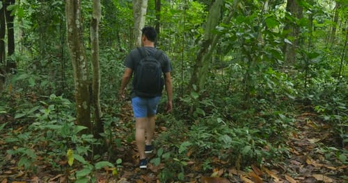 Hiker Hiking In Deep Forest