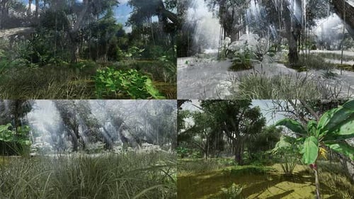 Animated Lush Jungle Forest Nature Environments