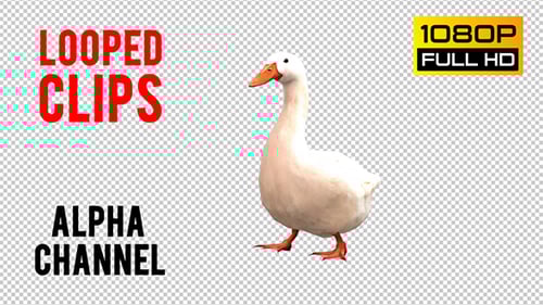 Walking White Goose 3D Animation
