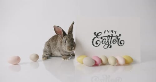 A Little Rabbit is Playing with the Inscription Happy Easter
