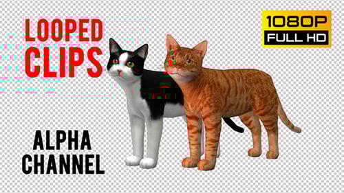 Animated 3D Cat Model Pack with Walk and Look Cycles
