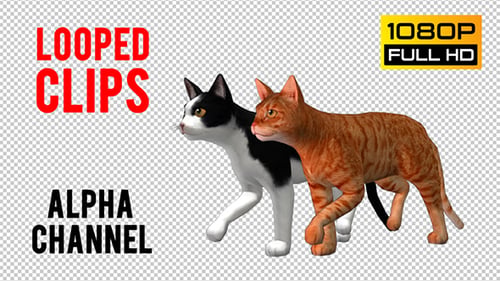 Cat Looped 5
