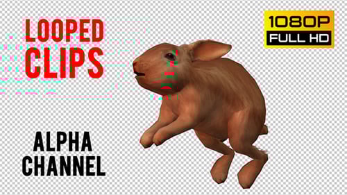 3D Animated Rabbit Hopping Across Screen with Alpha Channel