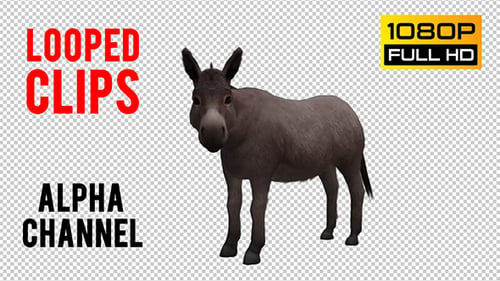 Animated 3D Donkey Standing with Alpha Channel