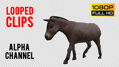 Donkey Looped 2
