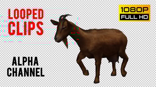 Animated 3D Goat Walking on Transparent Background