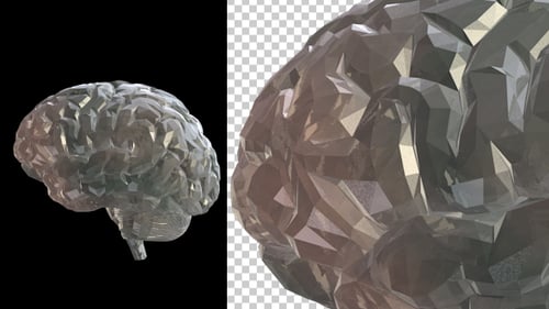 Animated Geometric Brain Model Rotating with Transparent Background