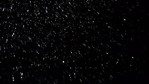 Snow Storm Falling Particles on Black Background