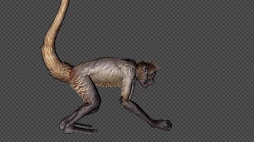 Realistic Animated Monkey Performing Various Actions
