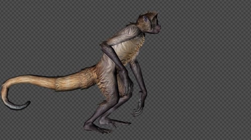 3D Animated Monkey Creature Walking and Crawling Cycle