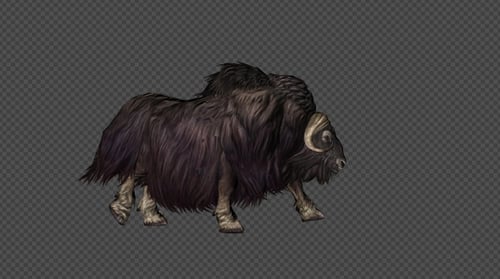 Musk Cow Walk Pack 4 In 1