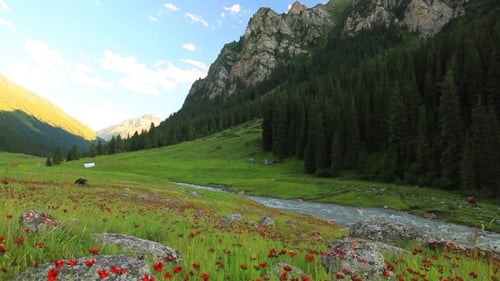 Beautiful Mountain Landscape with Flowers and Mountain River