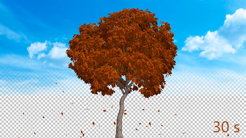 Von Baum fallende Blätter Ver.3