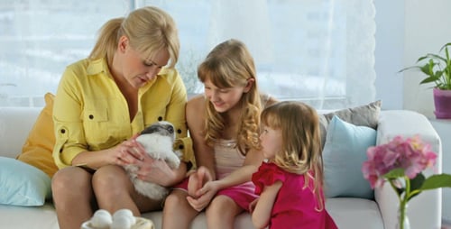 Family Enjoying Pet Rabbit on Couch Indoors