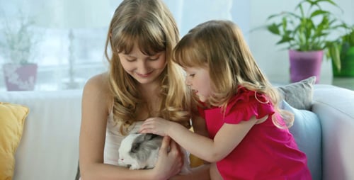 Girls on Sofa Petting Rabbit
