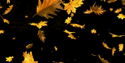 Realistic Falling Autumn Leaves Animation