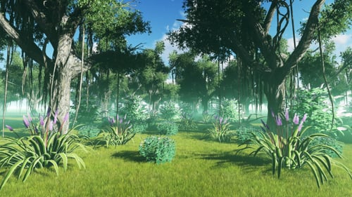 Misty Forest Flythrough with Abstract Transition