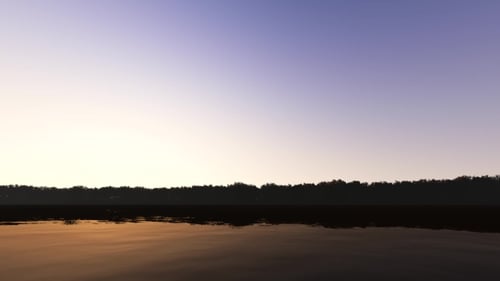 Sunset Against the Background of the Forest