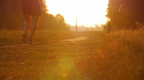Outdoor Active Nature Lifestyle