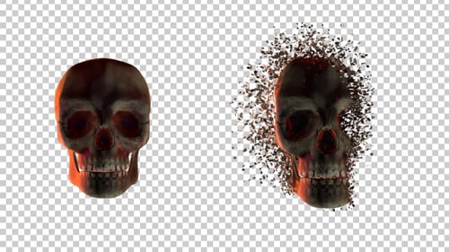 Skull Transforming