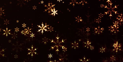 Dynamic Snowflakes