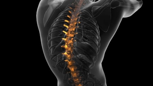 Animated 3D Medical Scan of Glowing Human Spine