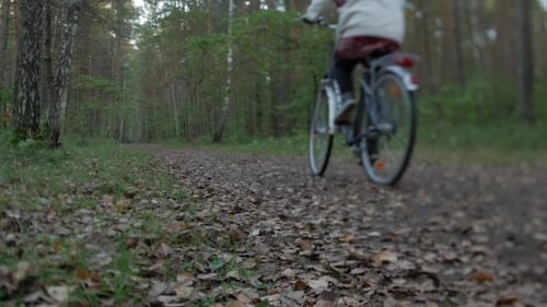 Rear View of Cyclist Cycling Through Forest on a Autumn Day