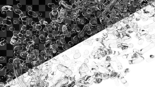 Water Bubbles