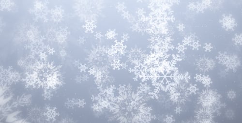 Animated Gentle Winter Snowflakes Falling Loop Background