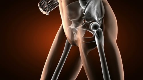 Human Bones Radiographic Scan