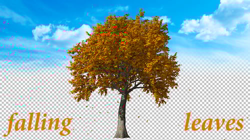 Realistic Autumn Tree with Falling Leaves and Alpha Channel