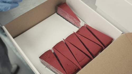 Pastry Chef Making Final Touches To a Sacher Chocolate Cake with Icing in Bakery Products Factory
