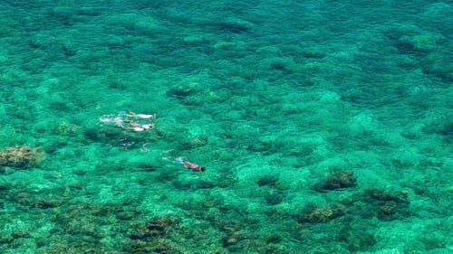 of Happy Family in Snorkeling Mask Dive Underwater with Tropical Fishes in Coral Reef Sea.