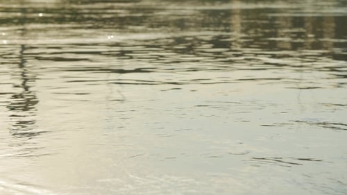 Rippling Water Surface Reflecting Sunlight at Golden Hour
