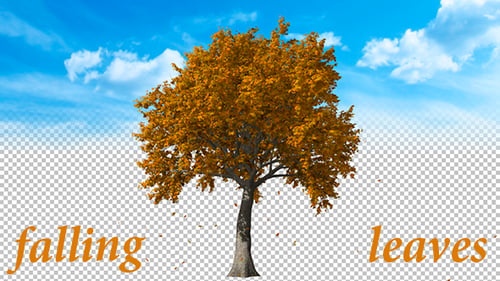 Fallende Blätter des Herbstbaums
