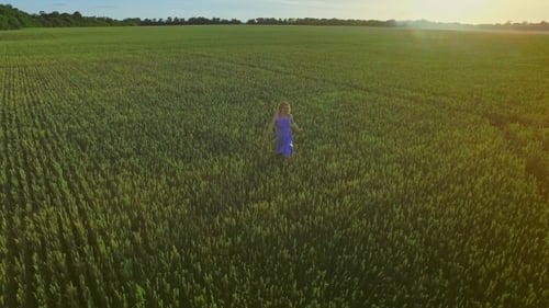 Счастливая женщина бежит по летнему полю. Молодая женщина, бегущая поле