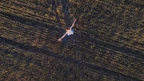 Молодая женщина крутится в летнем поле. Девушка в пшеничном поле