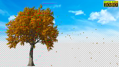 Falling Leaves Side View